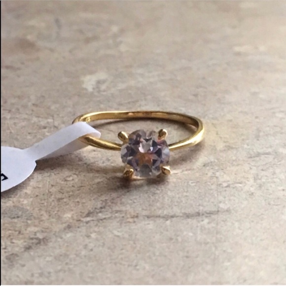 FALL LEAVES - Picture 5 of 7